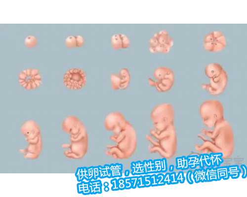 重庆代生中心有去过吗,深圳哪家医院做三代试管婴儿可以选性别